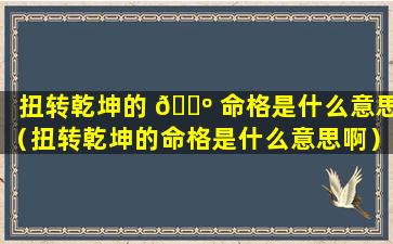 扭转乾坤的 🐺 命格是什么意思（扭转乾坤的命格是什么意思啊）